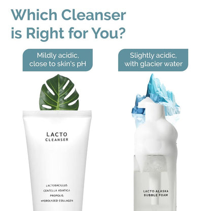 Benetus Lacto Cleanser with Plant-Based Probiotics – Vegan Korean Foam Face Wash, Mild pH Balanced for Sensitive Skin, Soothing Centella, Propolis & Collagen, K-Beauty Skin Barrier Care, 5.07 fl.oz