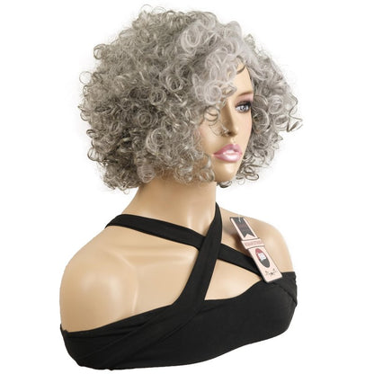 Onemliy Grey Wigs for Women Short Curly Asymmetrical Synthetic Fiber Ombre Silver Gray Wig for Halloween Cosplay Costume Party